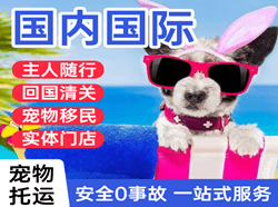 包头航空运输国际宠物托运 【国